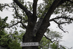 Airbnb получила инвестиции в размере $1,5 млрд