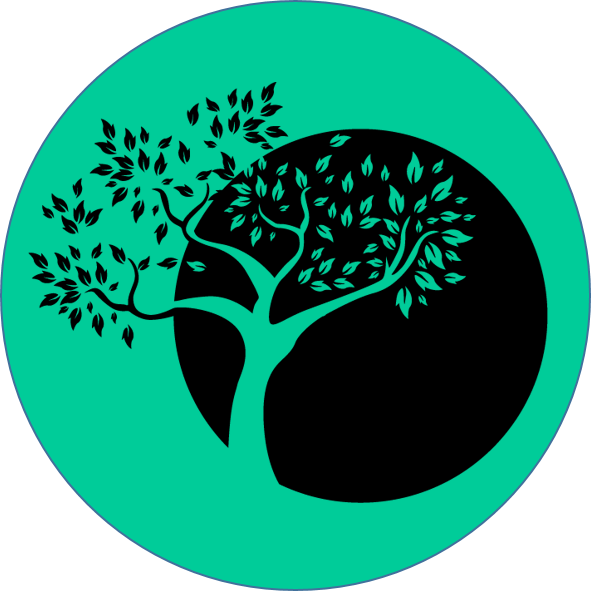 БИРЮЗОВЫМ ОРГАНИЗАЦИЯМ НУЖНА АТМОСФЕРА КОВОРКИНГА И ВОЗМОЖНОСТЬ ПОСТОЯННО УЧИТЬСЯ (Teal-организации)